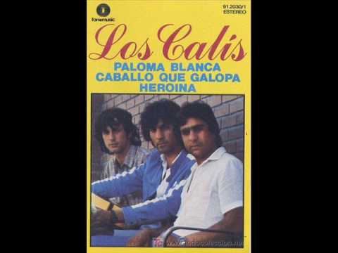 los calis caballo que galopa