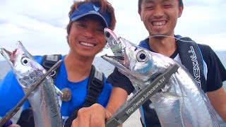 陸式アンチョビミサイルdeタチウオ大爆釣-後編