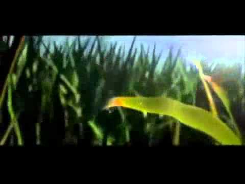 Jan Hegenberg   Die Horde Rennt Legendäre Version