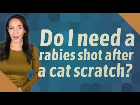 Do I need a rabies shot after a cat scratch?