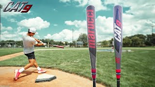 Live at Bats with the NEW MARUCCI CAT 9 (connect)
