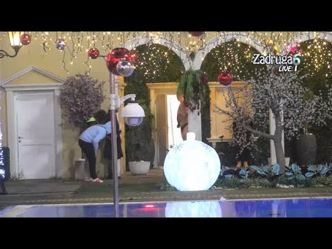 JANJUS SPRDA MARIJU OSTALI UMIRU OD SMEHA!#zadruga #zadrugauzivo #zadruga5 #filipcar #rtvpink