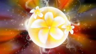 Anamanaguchi - Flora Fauna