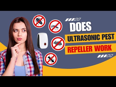 Does Ultrasonic Pest Repeller Work?
