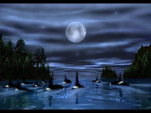 Ennio Morricone - Orca Theme