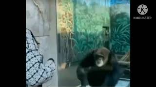 Kalokohan  talaga  🤣🤣🤣🤣☺️😂