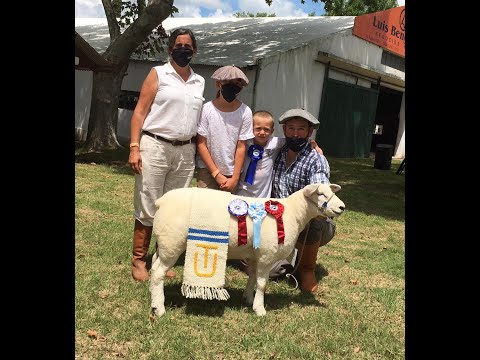 TEXEL  -  SAN JUAN DE LA TEJA