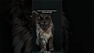 Download lagu STORY WA 30 DETIK || STORY WA KEREN || STORY WHATSAPP mp3