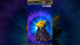 ガチャpart1727【2026/8/4】#パズドラ #毎日投稿