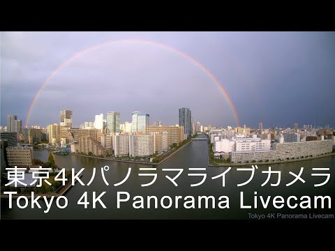Panorama of Koto City thumbnail