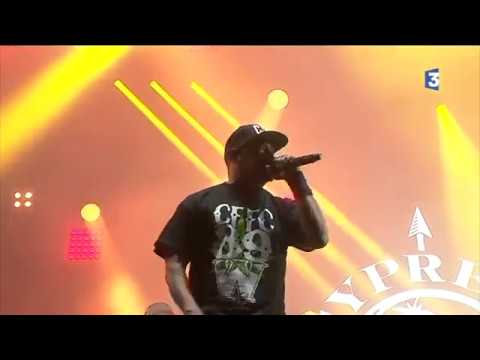 Début du concert de Cypress Hill - Cabaret Vert 2017