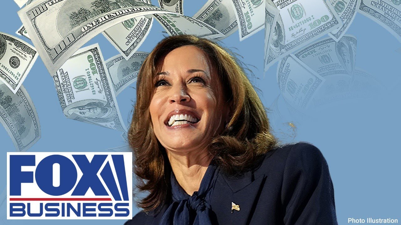 Dem donor goes off on Kamala Harris campaign’s ‘Mad Max’-like spending