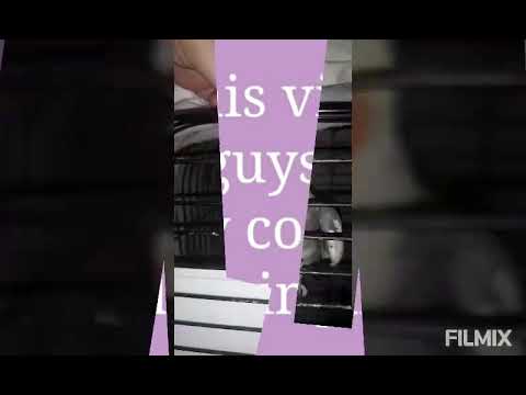 Cockatiel Singing la Cucaracha 💛