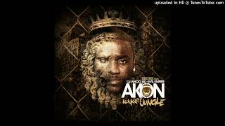 Akon - Ain&#39;t Sayin Nothin