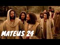 Mateus 24 | Bíblia Falada