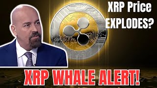 100 Million XRP Moved! Decoding the HUGE Whale Activity on Binance_XRP Price EXPLODES?
