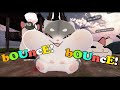 BOUncE Mp4