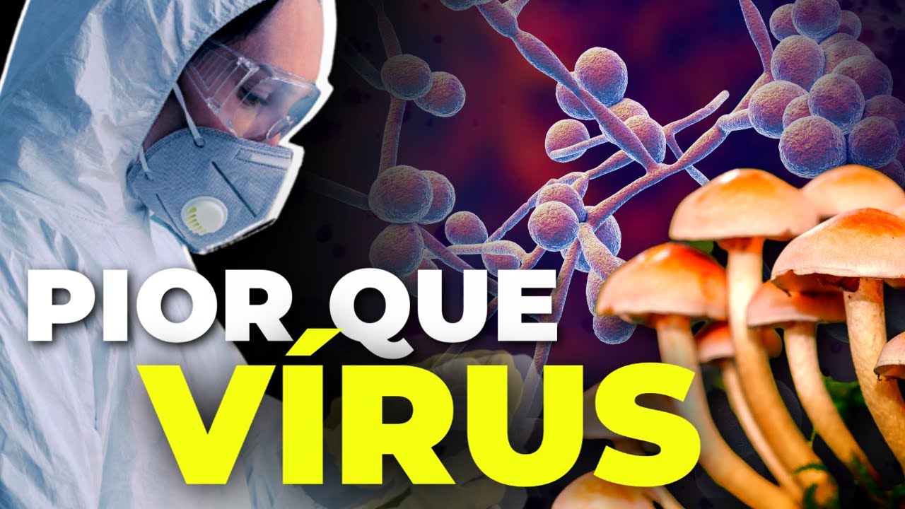 E SE UMA PANDEMIA FOSSE CAUSADA POR FUNGOS? #TheLastOfUs ??