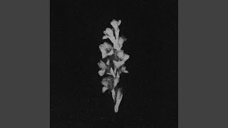 In The North (Original Tape Recording)