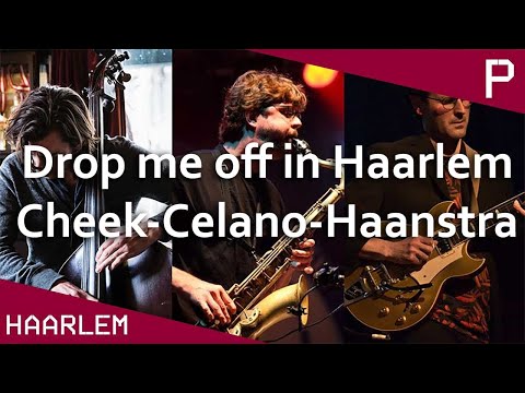 Drop me off in Haarlem: Cheek-Celano-Haanstra - Pletterij Concert