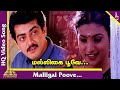 Malligai Poove Video Song Unnidathil Ennai Koduthen Tamil Movie Songs Ajith Roja SA Rajkumar