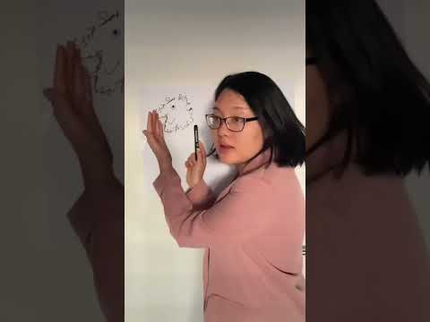 Studying in Germany be like