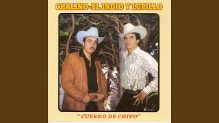 Nomas las Mujeres Quedan