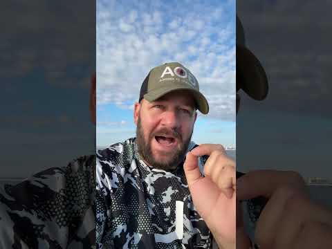 I Genuinely Don’t Care At All #congress #langley #shortsvideo #goa #shortsfeed #atf #bondi #scotus Thumbnail