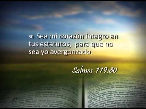 Reavivados por su Palabra - 04/12/2013 - Salmo 119