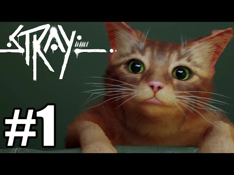 Stray Gameplay Walkthrough Part 1- PS5