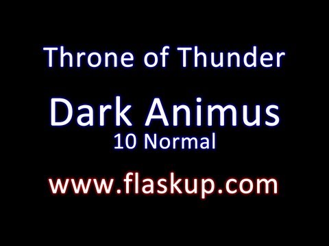 Raiding Guide: Dark Animus // 10 Man Normal Mode