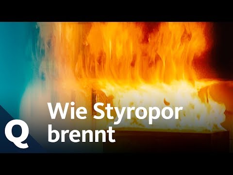 House building: Why Styrofoam is risky | Quarks