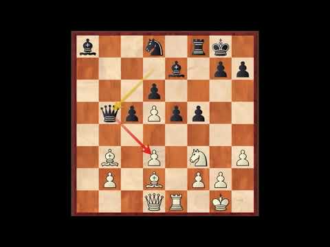 ALAIMO COMMENTS ON CHAMPIONS 5 - THE 2020 CANDIDATES TOURNAMENT