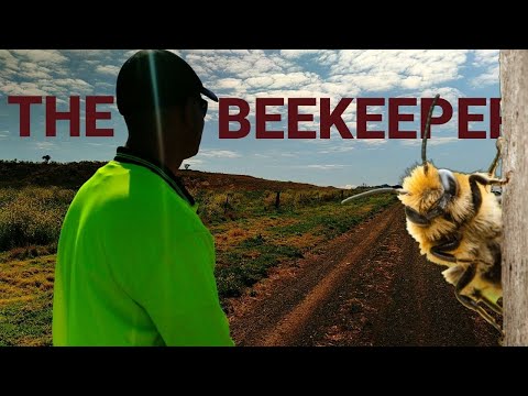LIFE OF A BEEKEEPER IN QUEENSLAND AUSTRALIA - IS IT DANGEROUS? - CINEMATIC VLOG
