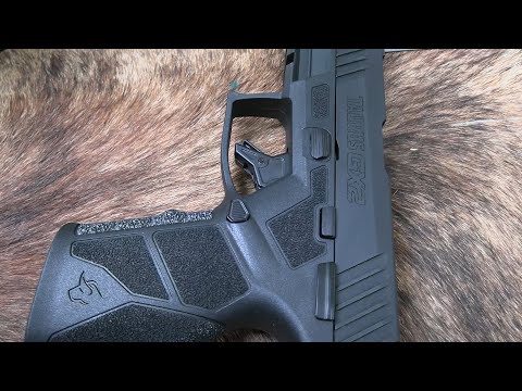 Taurus GX2  9mm