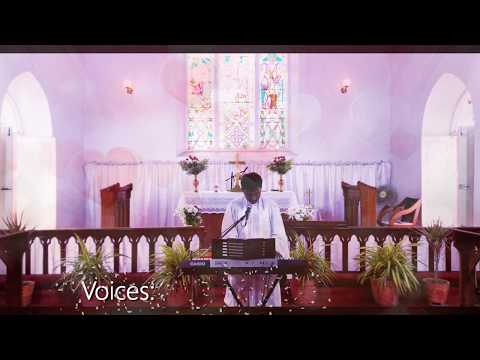 Divya Pavanatma Ne Evulanni Manchivi, Andhra Kraistava Keertanalu-241