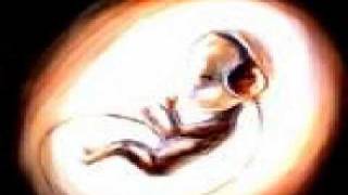 Julia Santana - Sooner or later.wmv