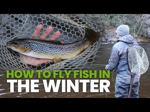 How To Fly Fish In The Winter: Everything You Need To Know