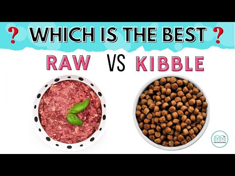Raw vs Kibble Dog Food. Which is better? Explained with Pros & Cons of feeding. || Monkoodog