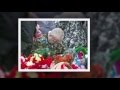 Станислав Коноплянников "6 РОТА" 