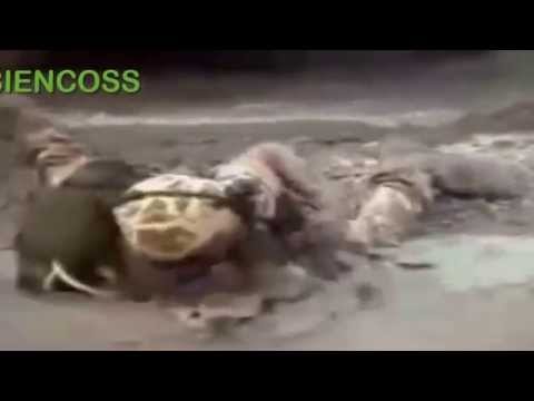 funny video - Funny Fails Video - Army Pranks 2015