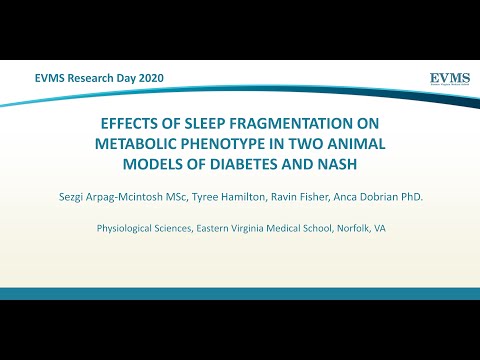 Thumbnail image of video presentation for Effects of Sleep Fragmentation on metabolic phenotype in two animal models of diabetes and NASH