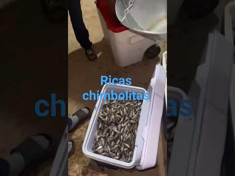 desde San Gerardo San Miguel norte el Salvador