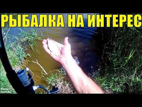 Открытие рыболовного сезона - наловил карасей. Приготовление пищи на углях. Часть 2\3