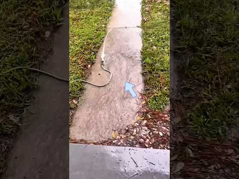 He Made One Tiny Mistake… And Flooded Everything! 😱