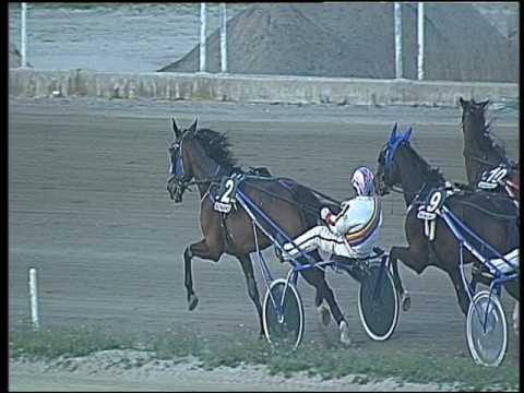 Trotto 17/02/2017 - 6ª corsa