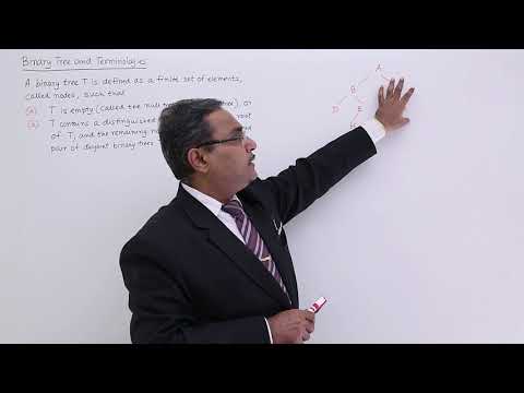 Data Structure Getting Started