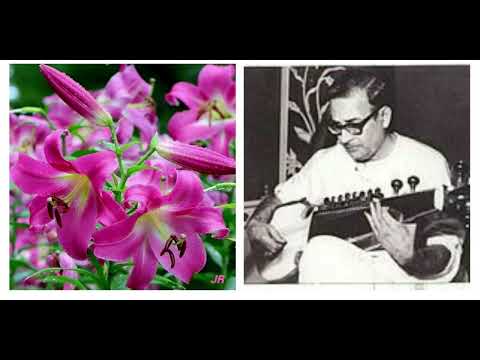 Pandit Radhika Mohan Maitra sarod raag khamaj