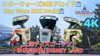 【期間限定】上海ディズニーの可愛すぎるスターウォーズBDXドロイドLimited【4K】Adorable Star Wars BDX Droid at Shanghai Disney in 4K 🤖