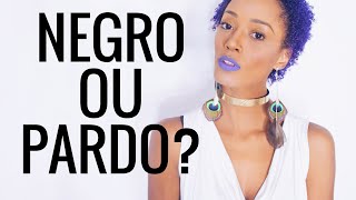 Negro ou Pardo ? - Identidade Racial (Caio Jout Jout)